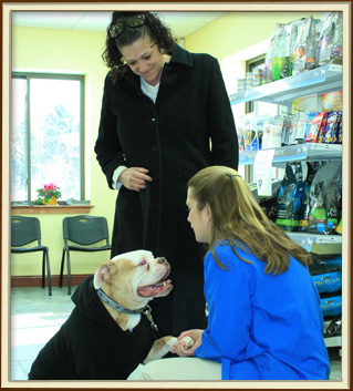 auburn, n.h. pet wellness plans