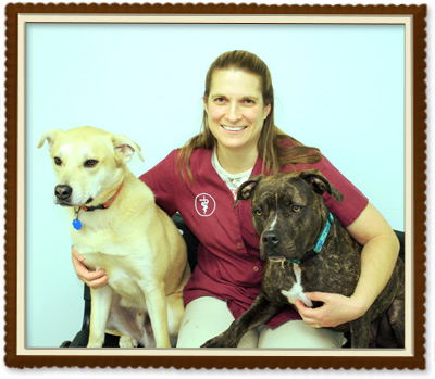 auburn, nh veterinarian